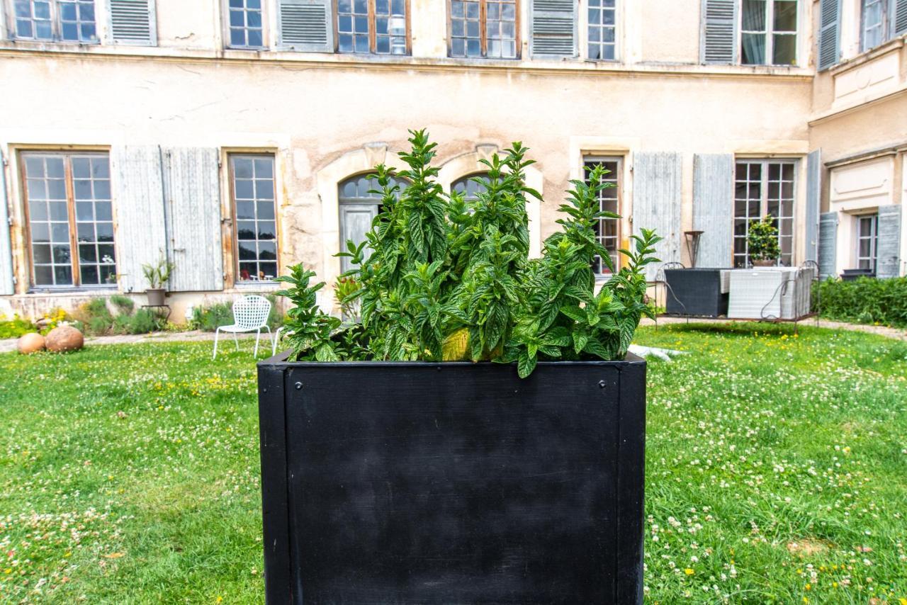 Chateau De Pramenoux Lamure-sur-Azergues エクステリア 写真