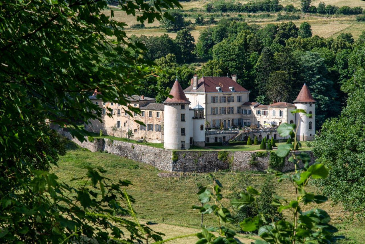 Chateau De Pramenoux Lamure-sur-Azergues エクステリア 写真