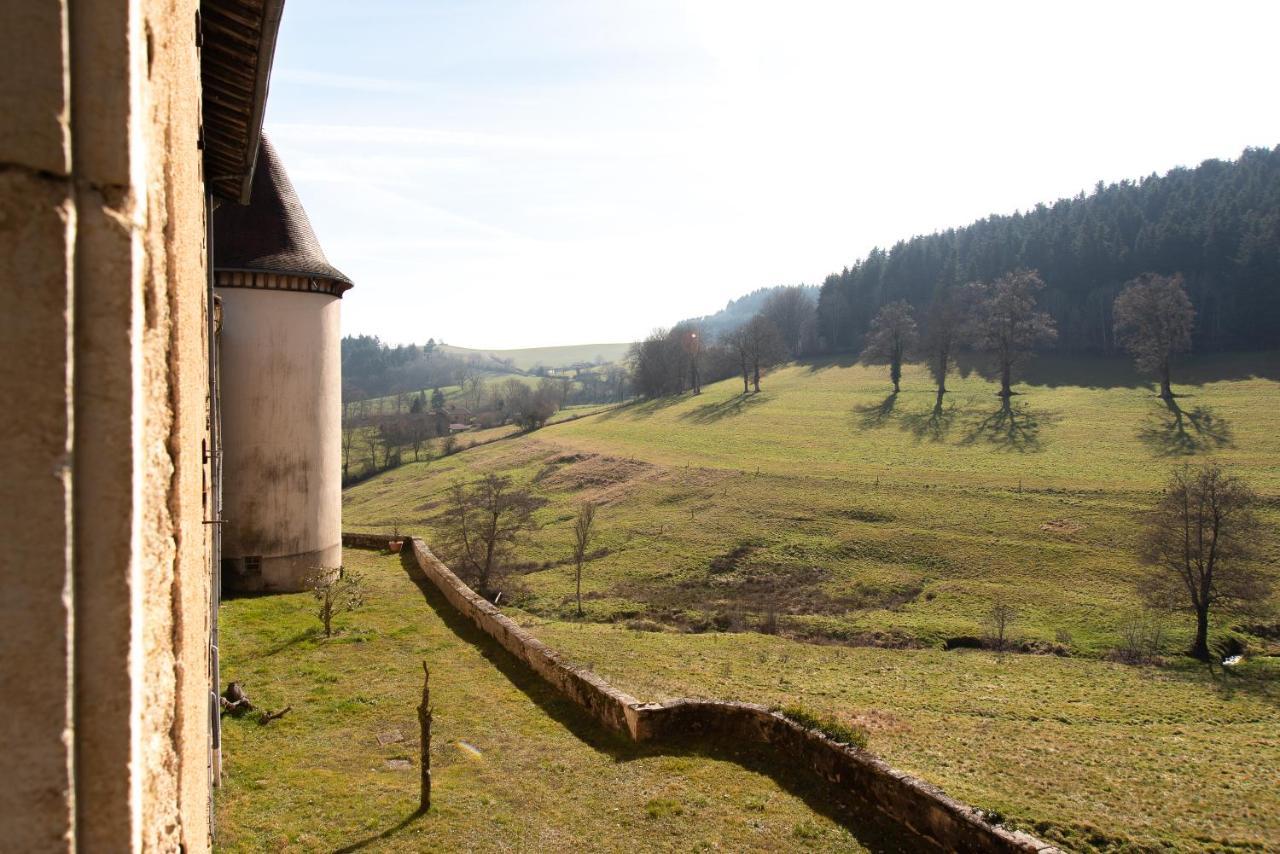 Chateau De Pramenoux Lamure-sur-Azergues エクステリア 写真