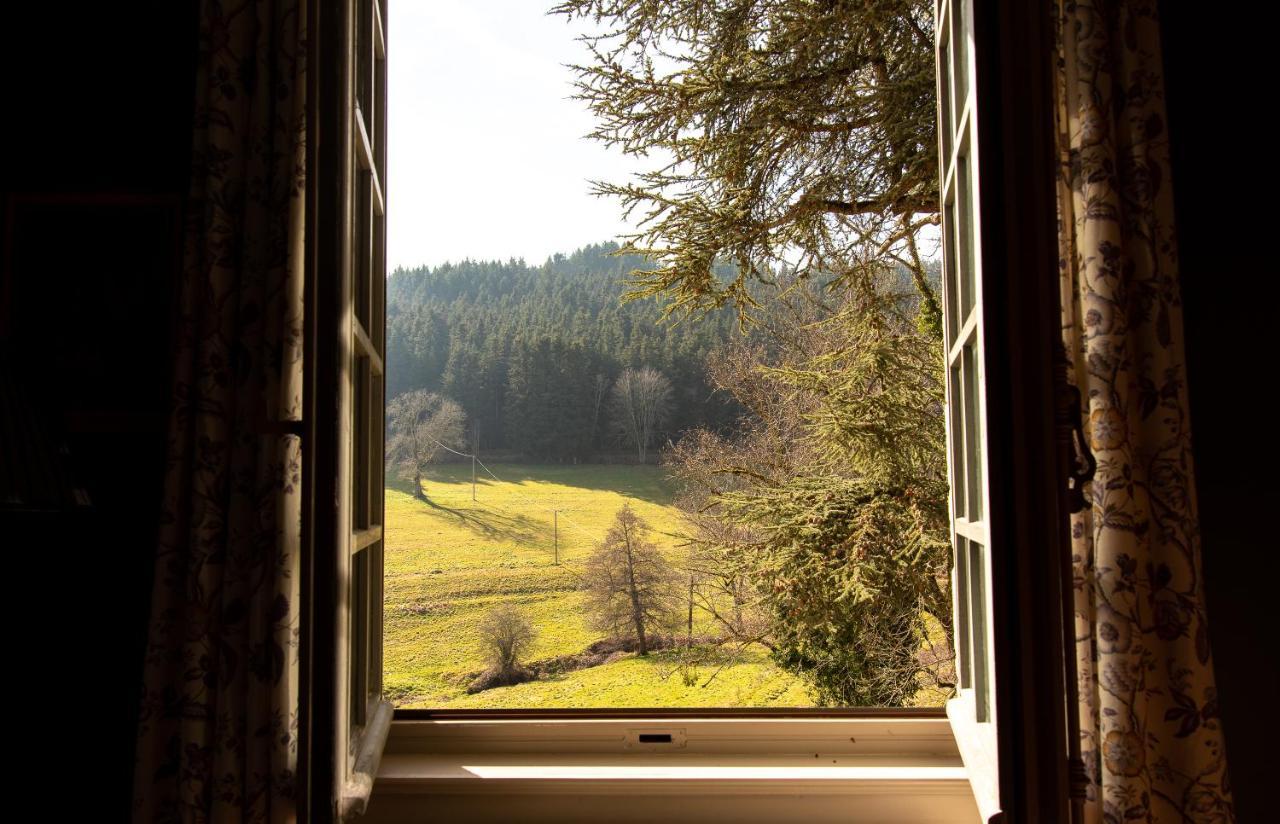 Chateau De Pramenoux Lamure-sur-Azergues エクステリア 写真